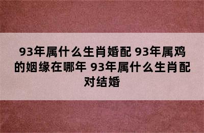 93年属什么生肖婚配 93年属鸡的姻缘在哪年 93年属什么生肖配对结婚